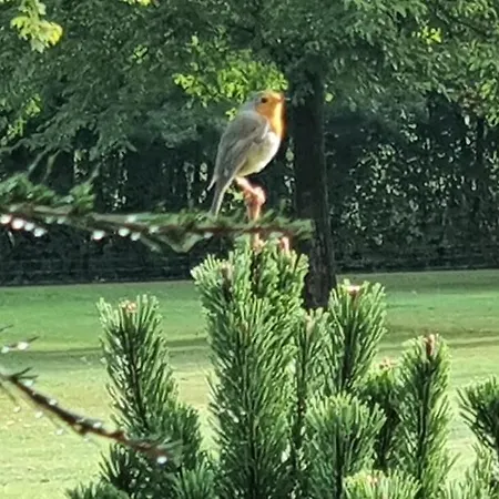 Oda ve Kahvaltı Moulin Du Soustre