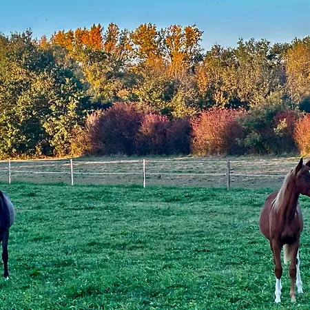 Moulin Du Soustre Cavagnac